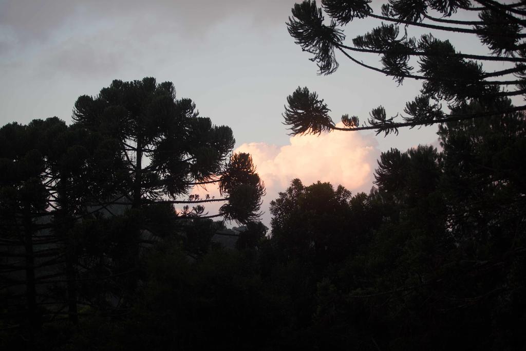 Pousada Sonho Verde Monte Verde  Εξωτερικό φωτογραφία